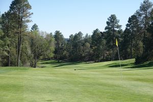 Chaparral Pines 7th Fairway Flag